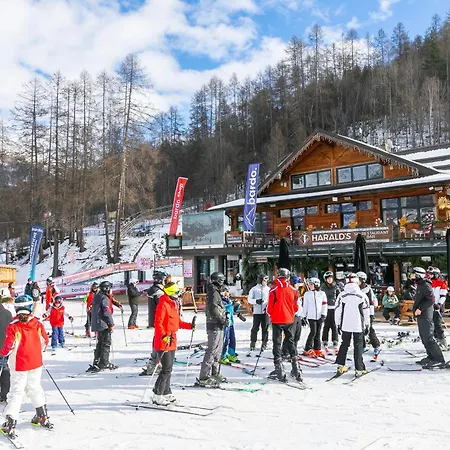 La Primula - Happy *